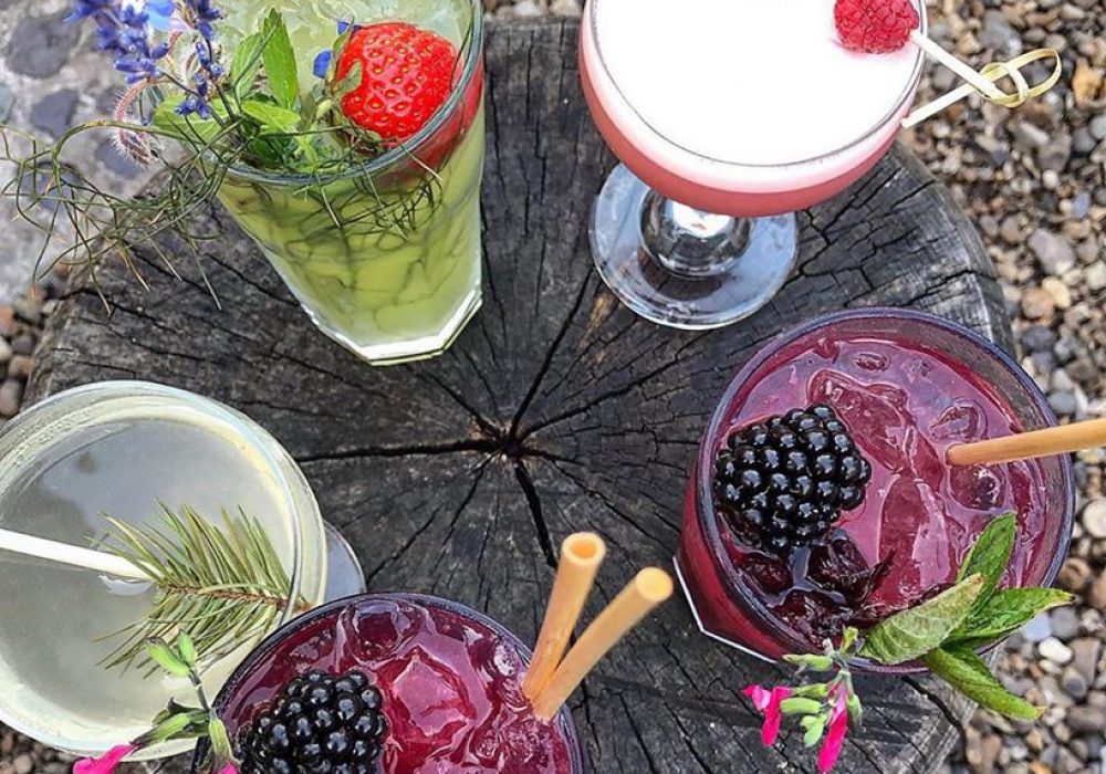 5 assorted cocktails decorated with fruit and leaves, on a tree-stump table.