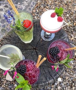 5 assorted cocktails decorated with fruit and leaves, on a tree-stump table.
