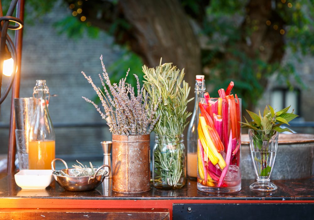 Jars of herbs and other drink decorations or ingredients on a bar, with an out of focus tree in the background.