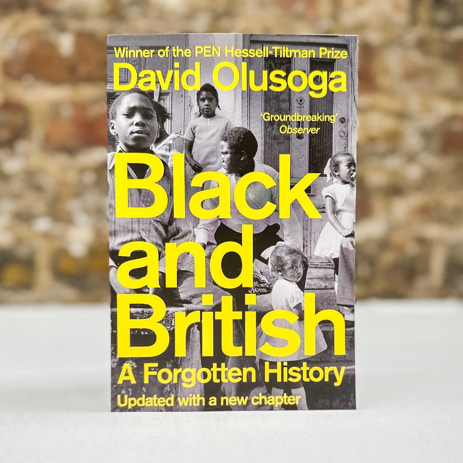 Black and British (book) by David Olusoga