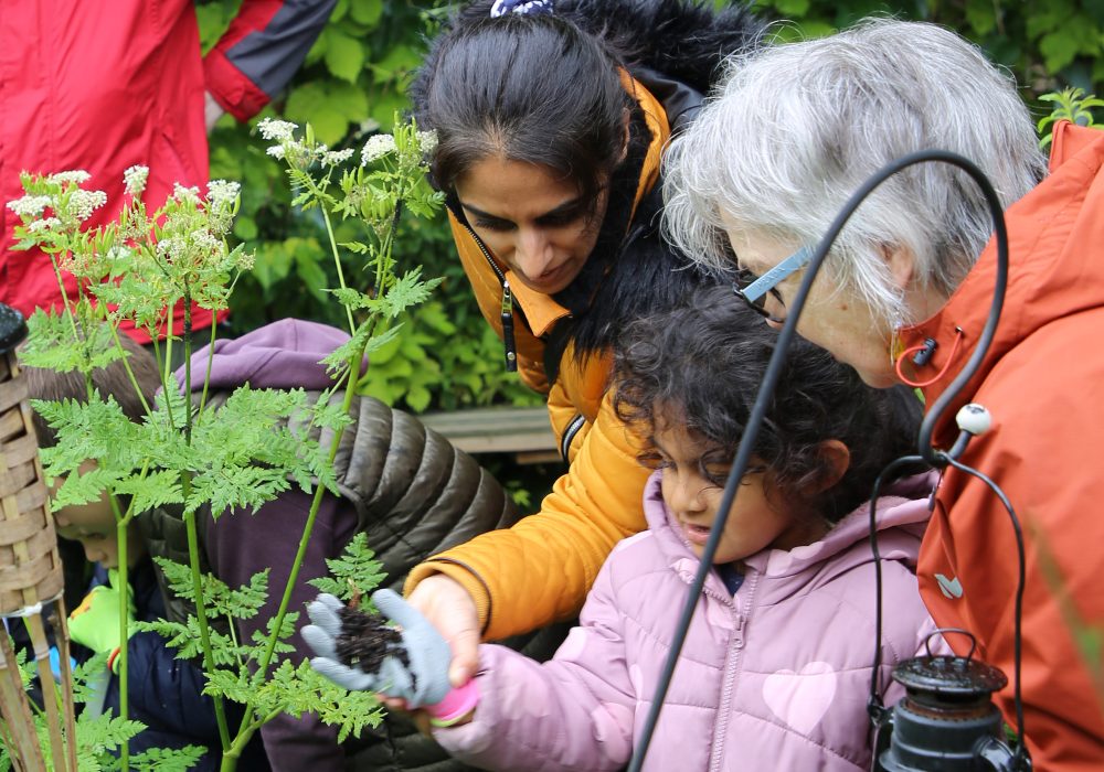 Wild Things Gardening Club