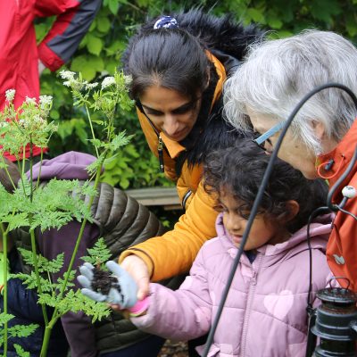 Wild Things Gardening Club