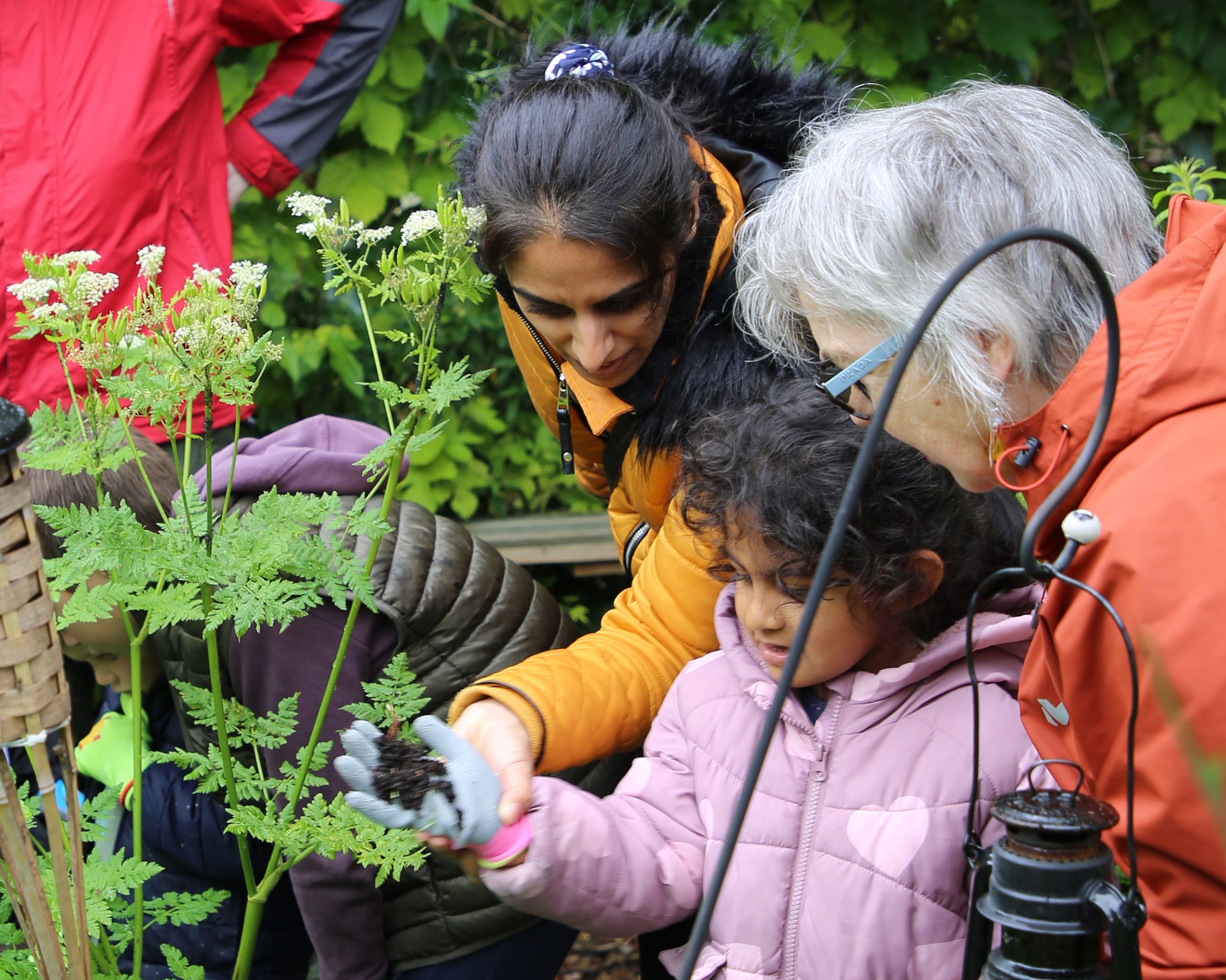 Wild Things Gardening Club