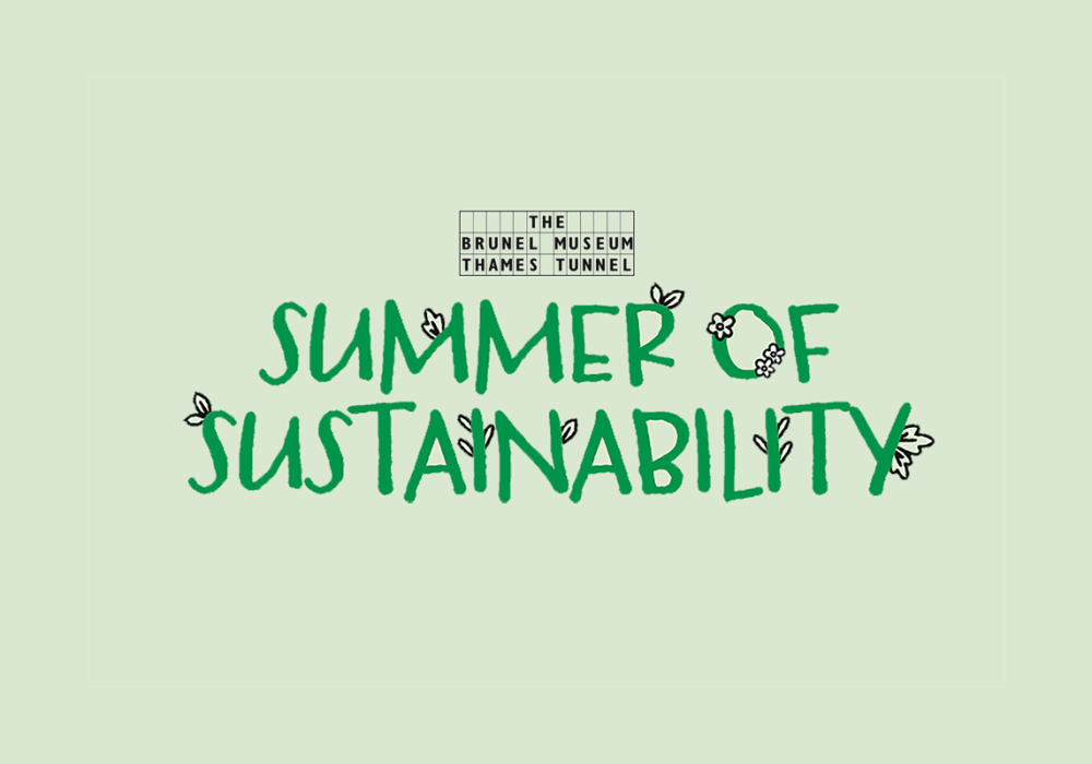 Summer of Sustainability