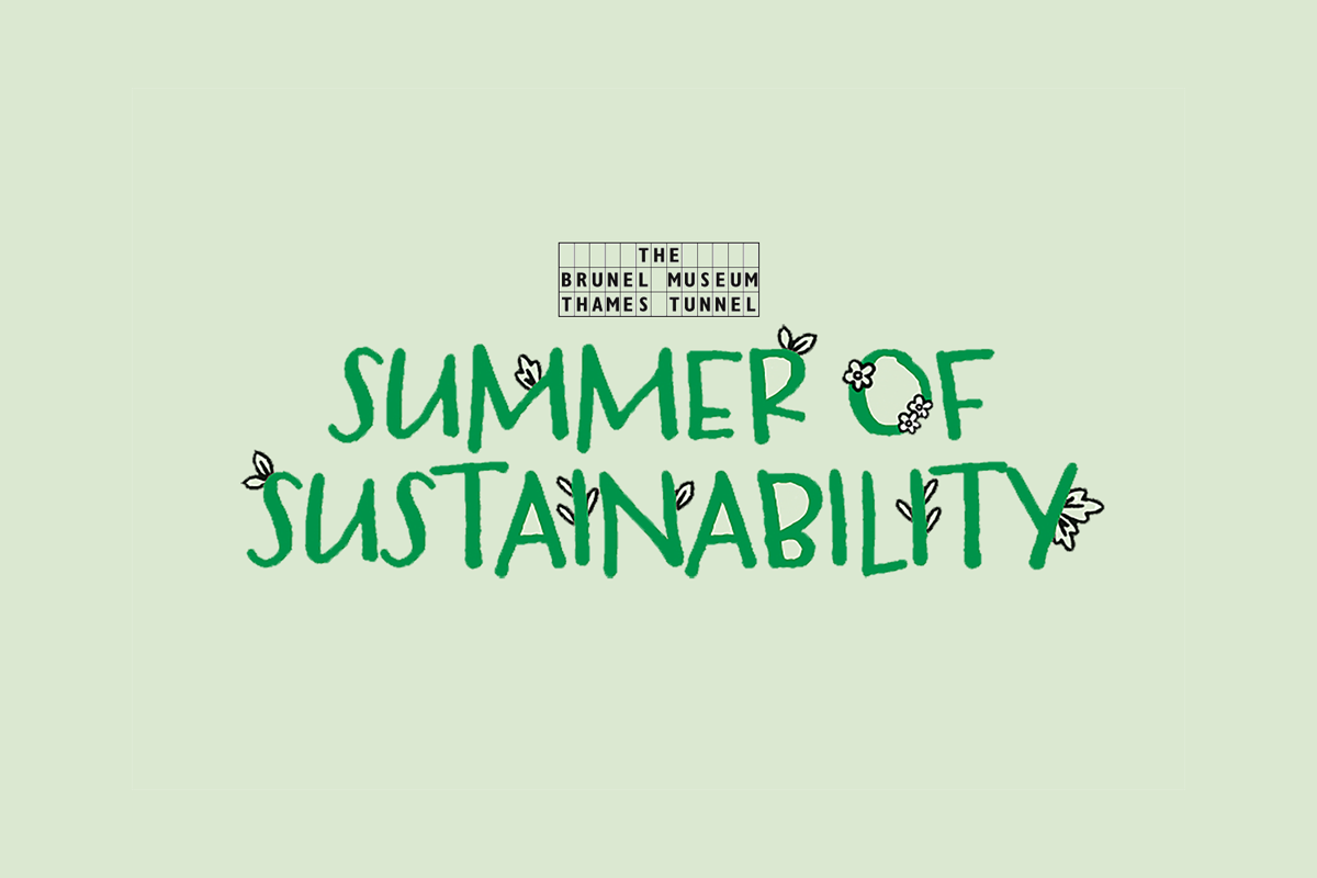 Summer of Sustainability