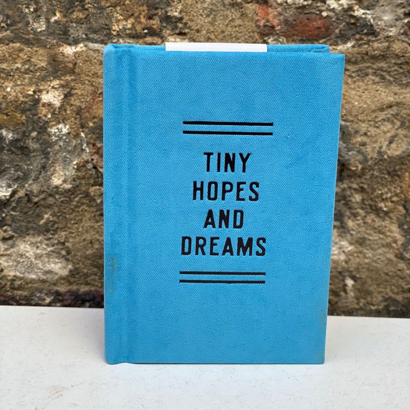 Tiny Hopes and Dreams - Tiny Diary